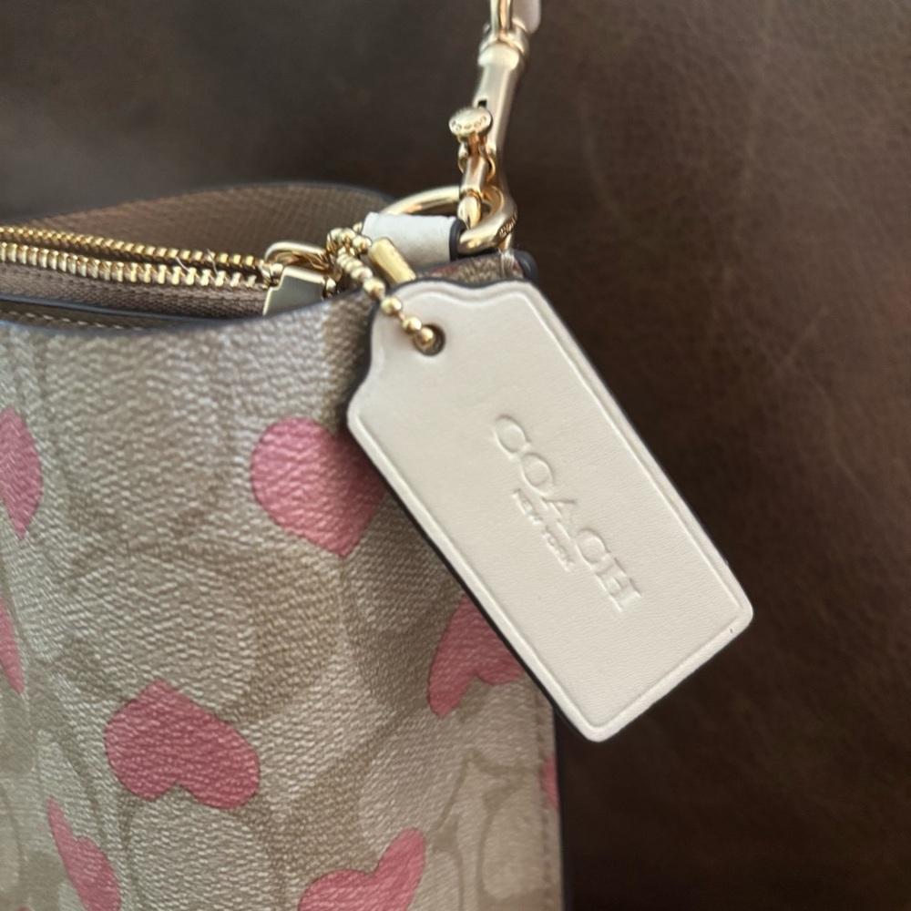 Coach Limited Edition Mollie Bucket 22 Bag Valentines 2024 Collection Pink Heart - Picture 9 of 16